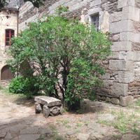 jardin du lieu de mariage suite 2