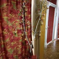 mon arbre a dragées