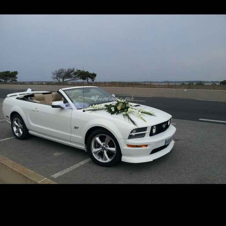 Une belle mustang comme voiture ! - 1