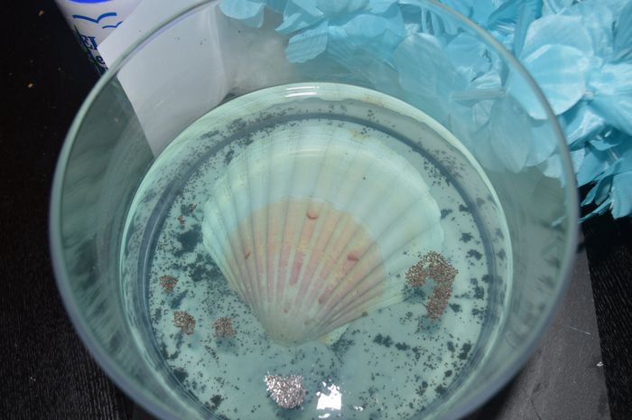 Coquillage