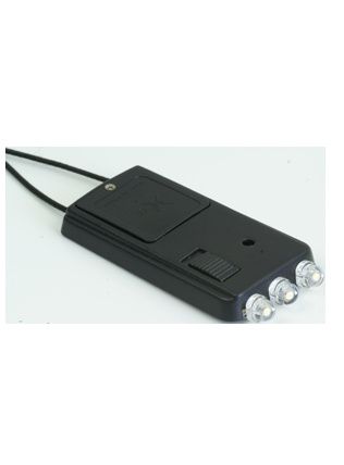 led boule chinoise