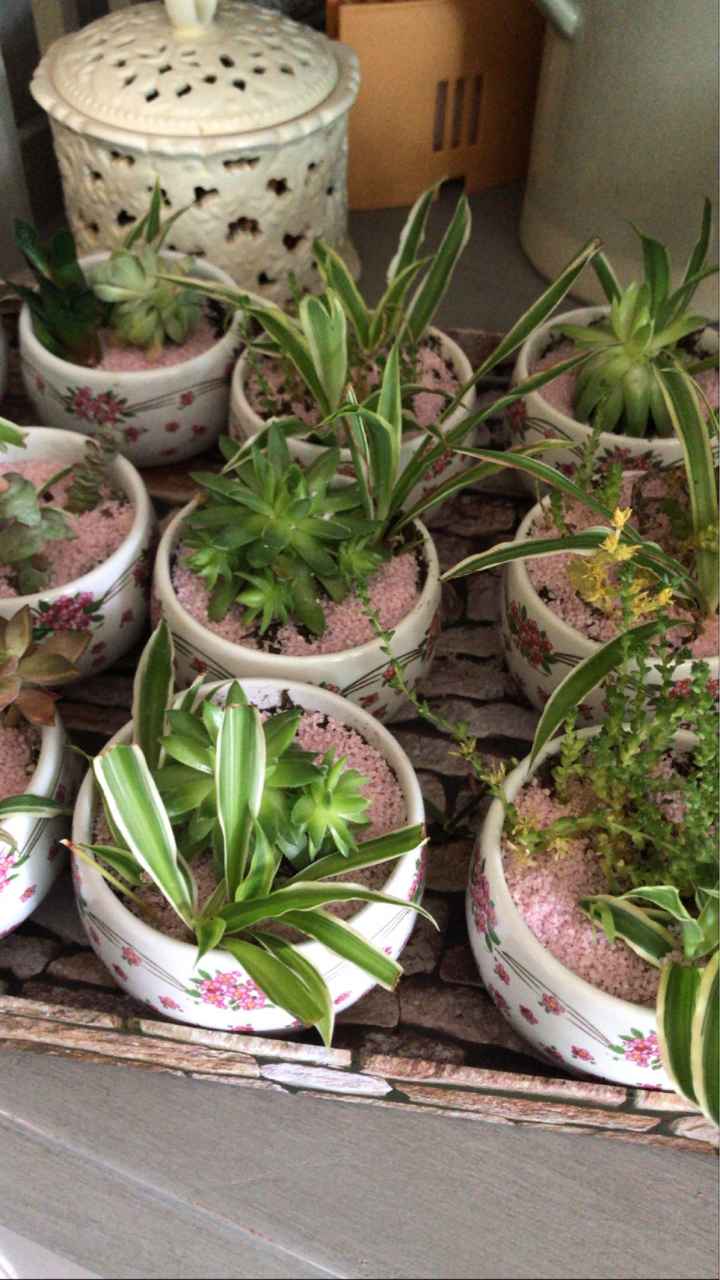 Mariage vintage du 18 juillet - 2