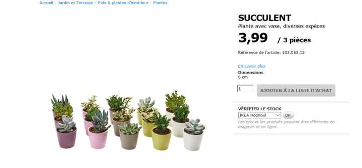 Plantes grasses