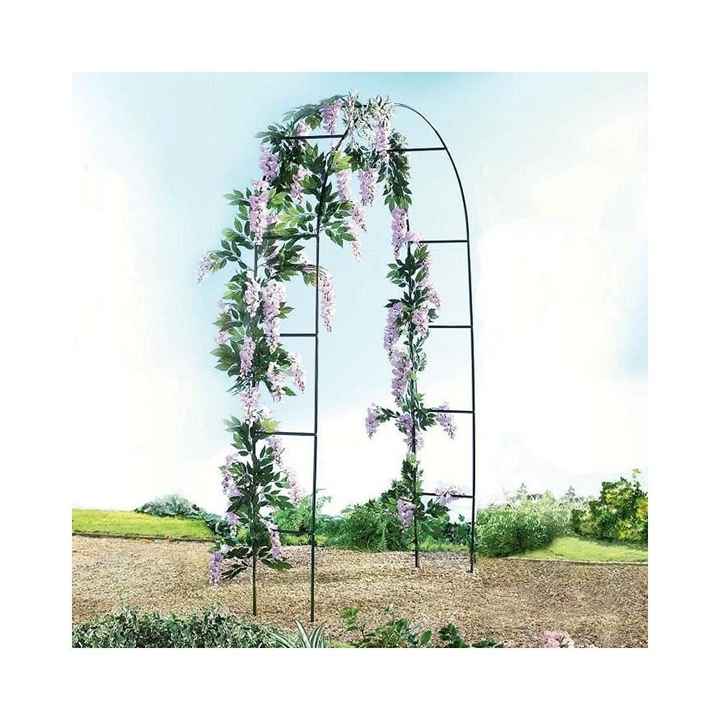 L'arche que nous avons commandée