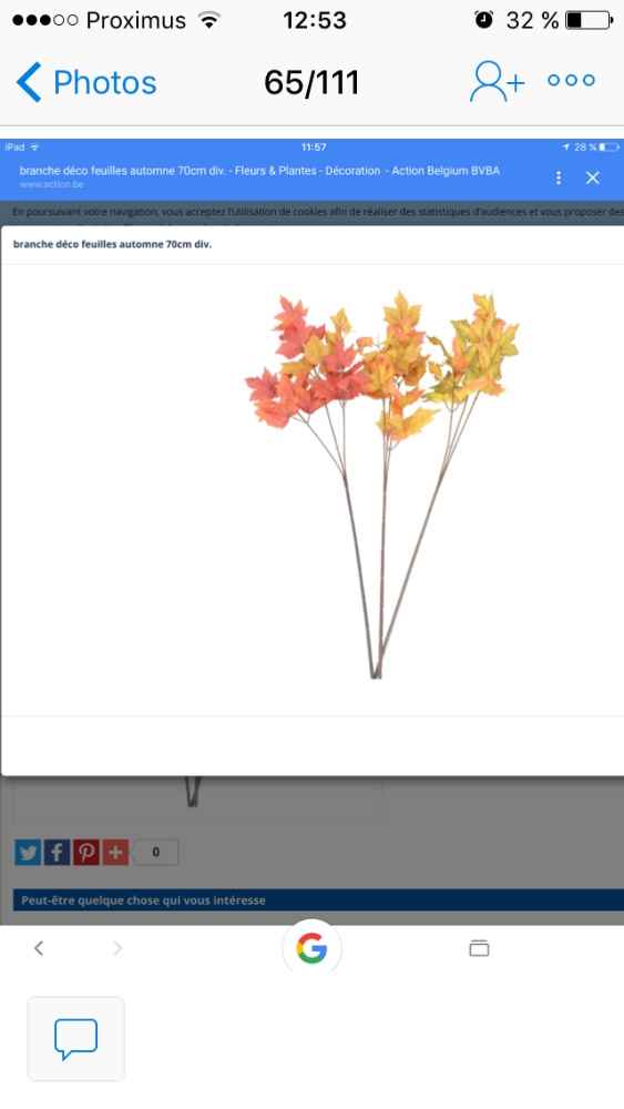 Les feuilles pour tenir le voilage