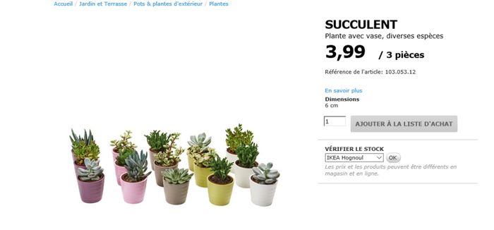 Plantes grasses