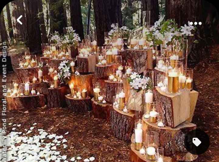 Theme mariage forêt - 1