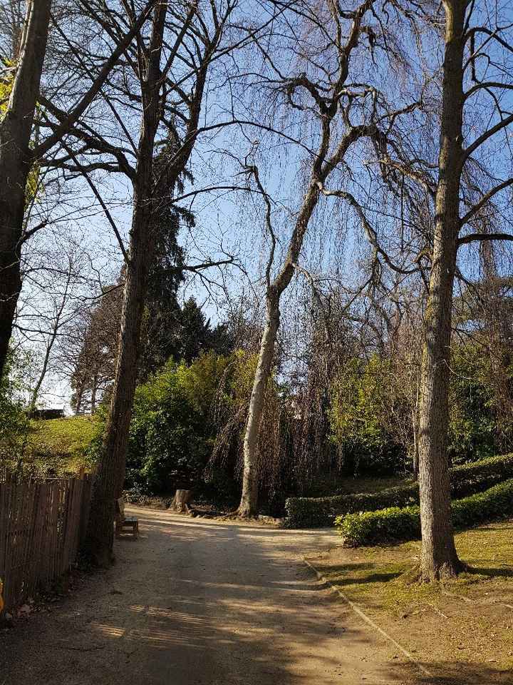 Lieu pour les photos - 3