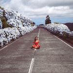 Marlene