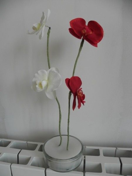 Fleurs fini