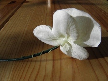 disposition de la fleur