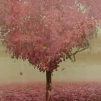 Commande light in the box - 5