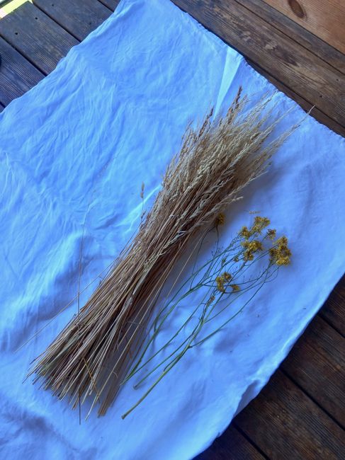 Atelier fleurs séchées 3