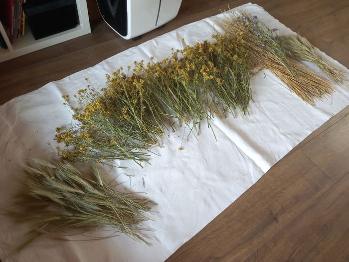 Atelier fleurs séchées 4