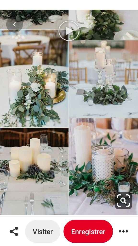 Recherche plante - 2