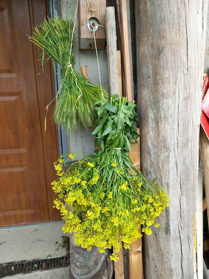 Atelier fleurs séchées - 1