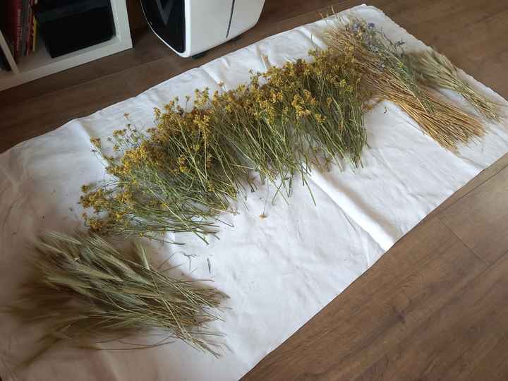 Atelier fleurs séchées - 4