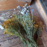 Atelier fleurs séchées - 2