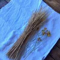 Atelier fleurs séchées - 3