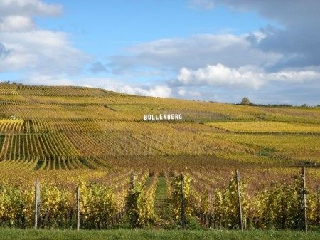 Les vignes du BOLLENBERG