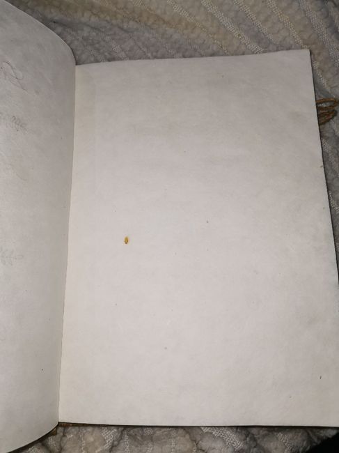 Que faire ? En tête du livre d'or 3