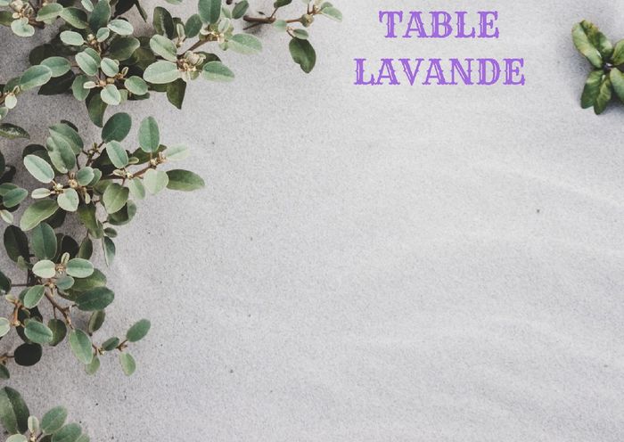 Plan de table 8