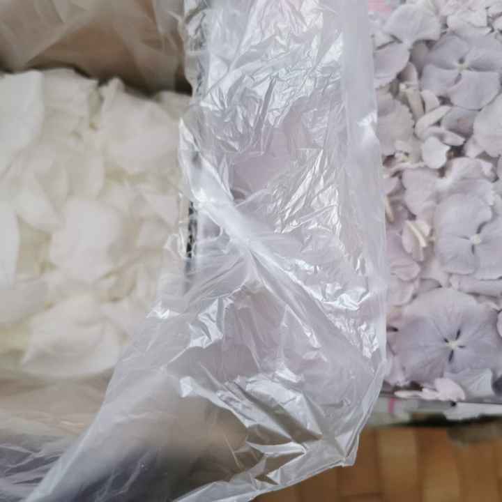 Fleurs stabilisées - 1