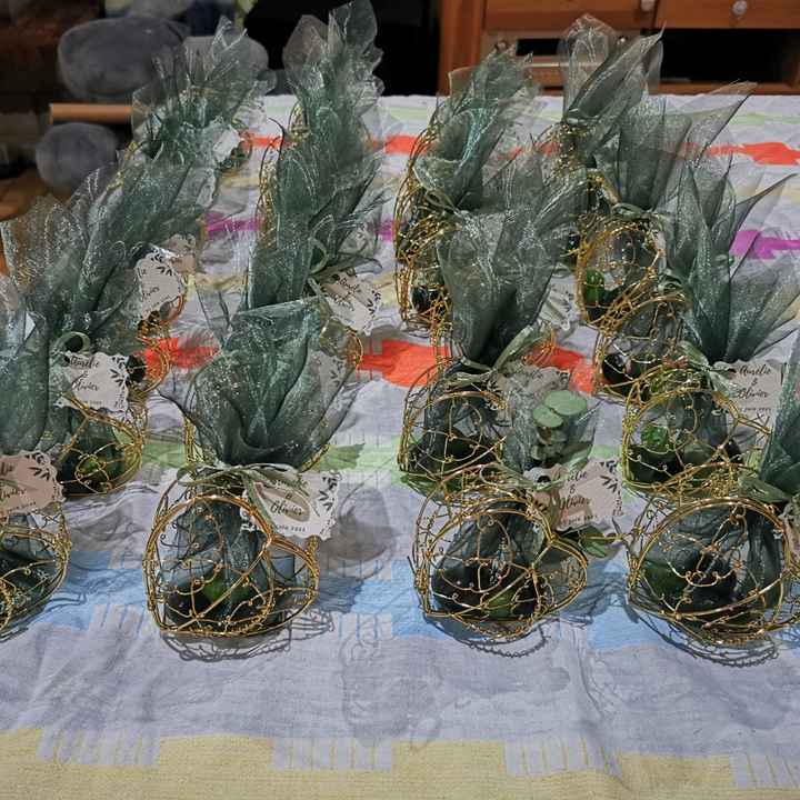 Faisons le point.. du lundi 🙈🐥🌈 - 1