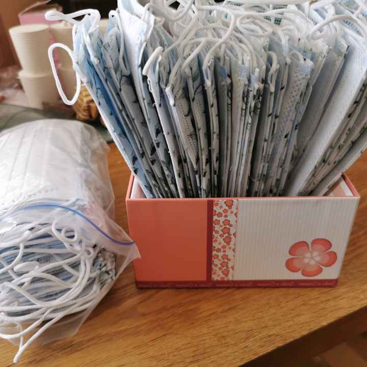 Faisons le point.. du lundi 🙈🐥🌈 - 3