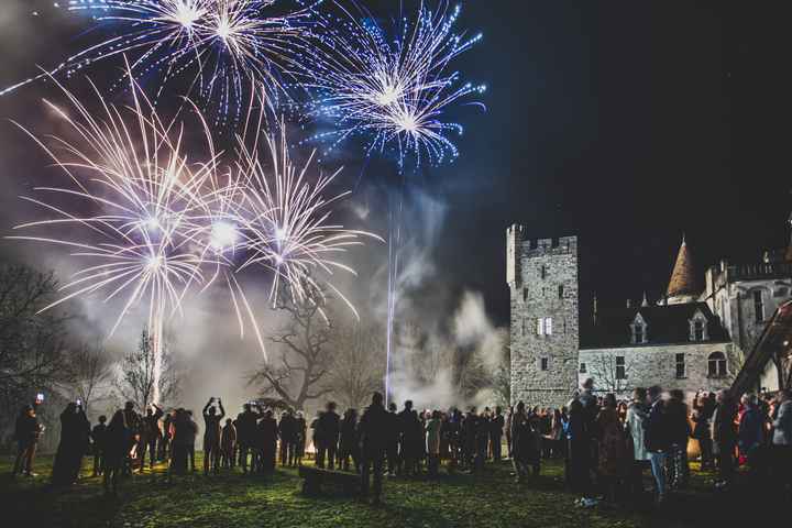 Animation feu d'artifice : pour ou contre ? 🎆 - 1