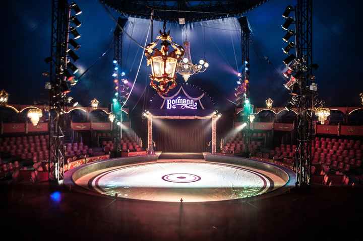 Mariage atypique : au cirque ? 🤩 - 1
