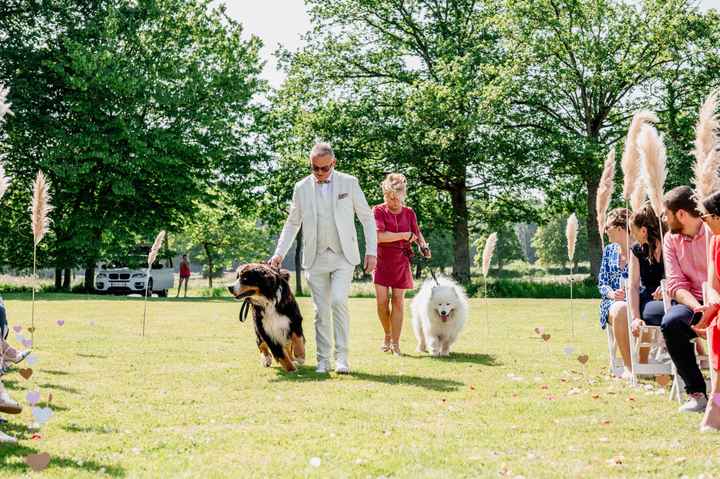 Tendances 2025 : garde d'animaux 🎀✨ - 1