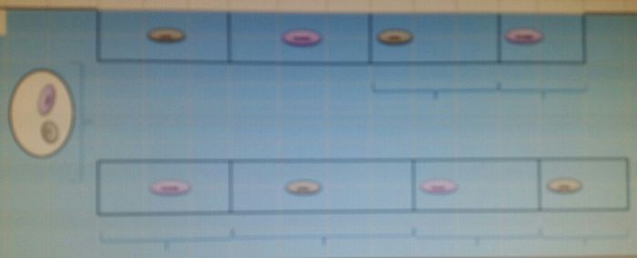 Help plan de table pour 30 personnes - 1