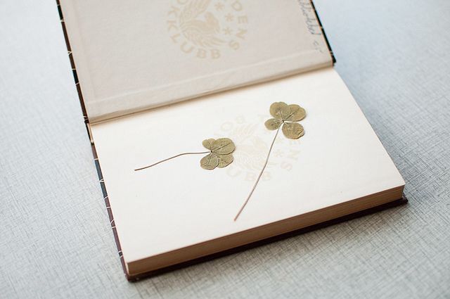 Inspiration.... thème porte bonheur !! 33