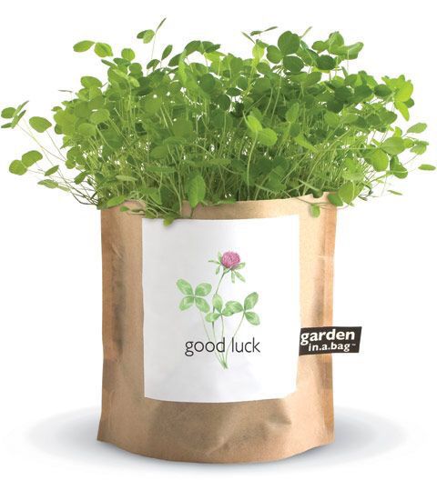 Inspiration.... thème porte bonheur !! 48