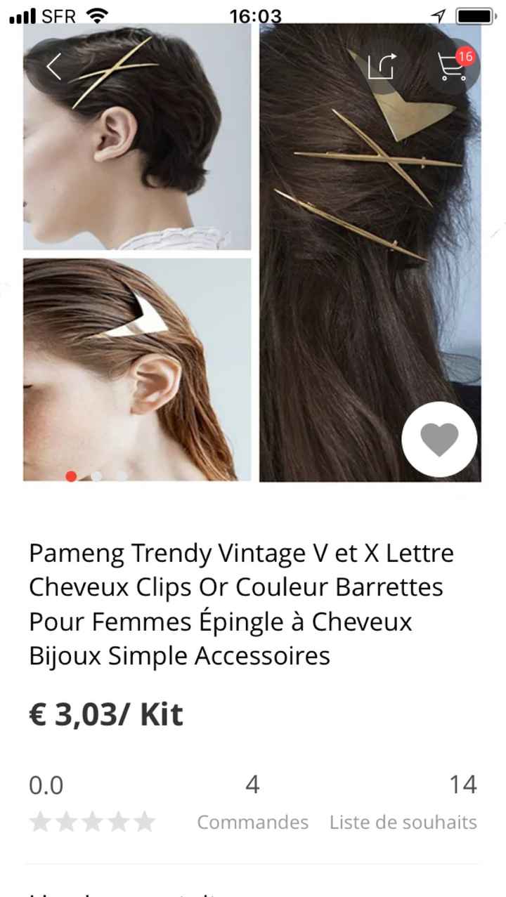 Accessoire cheveux - 1