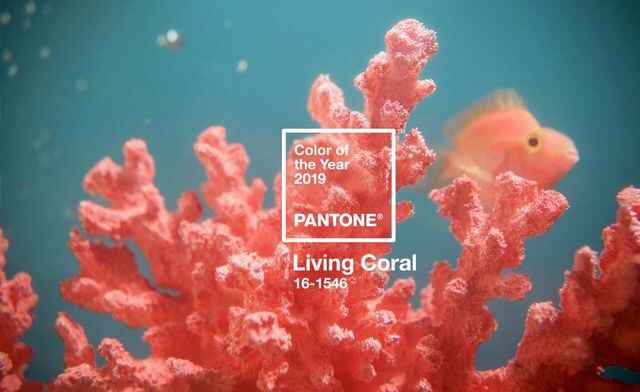 Inspiration couleur coral - 1