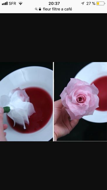 Alternative aux fleurs ? 3