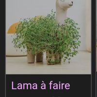 Jeu de la jarretière - 1