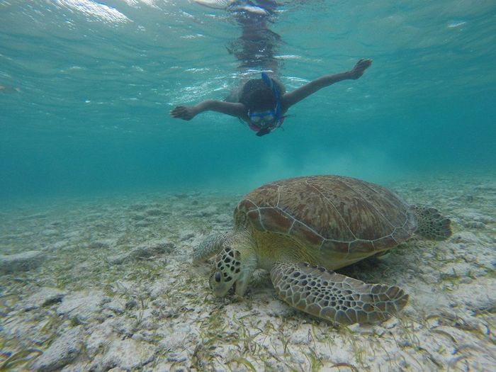 9 jours relax île Cayman idée destination LDM