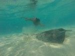 9 jours relax île Cayman idée destination LDM 