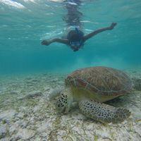 9 jours relax île Cayman idée destination LDM