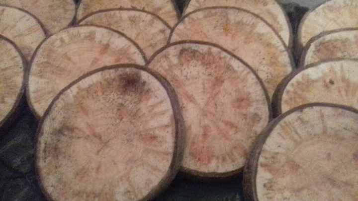 Comment soigner mes rondins ? - 1