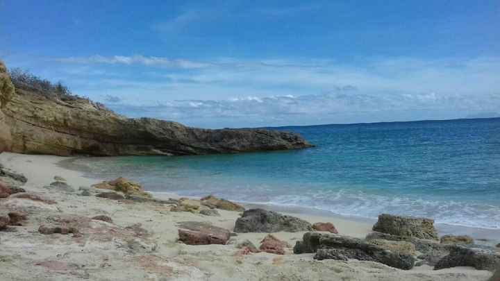 Pendant que Mlle cavale... - 1