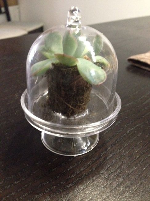 Cadeau pour les invités