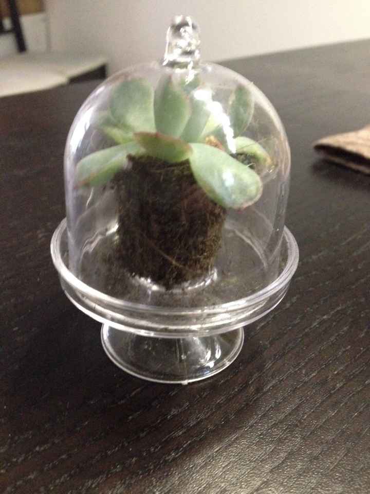 Cadeau pour les invités