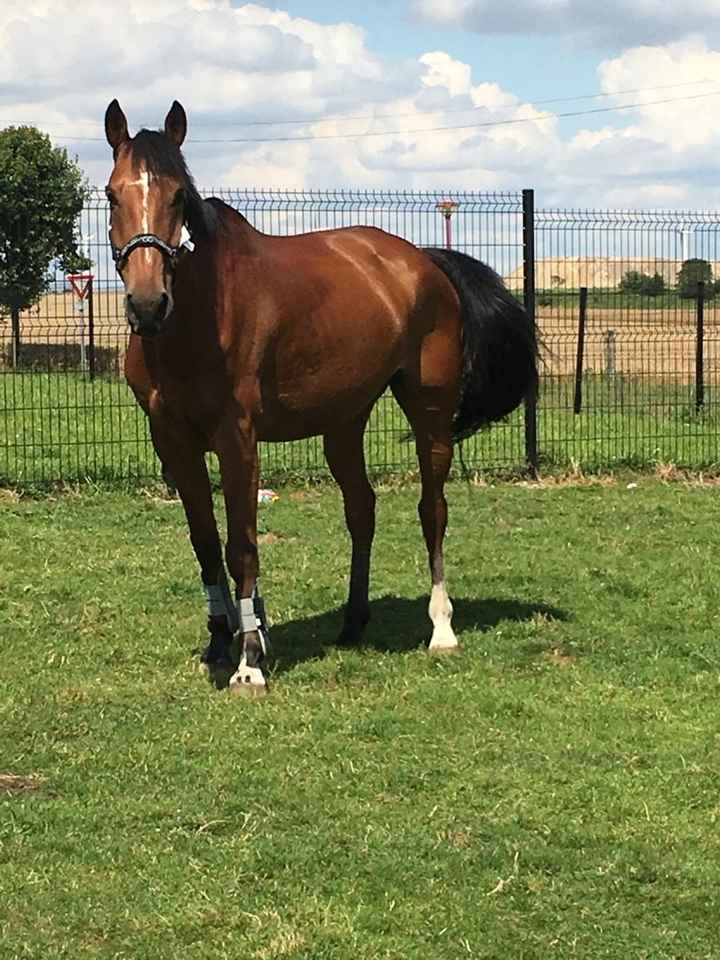10 idées pour l'arrivée des mariés - 1