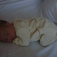 notre dernier petit trésor 