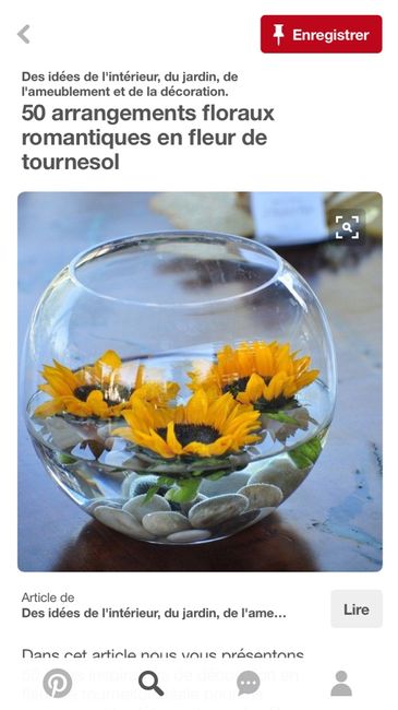 Autour du tournesol - 1