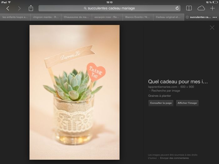 Quel petit cadeau souvenir pour les invités? - 1